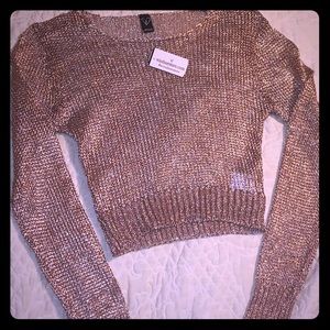 Windsor Pink Metallic Long Sleeve Mesh Crop Top